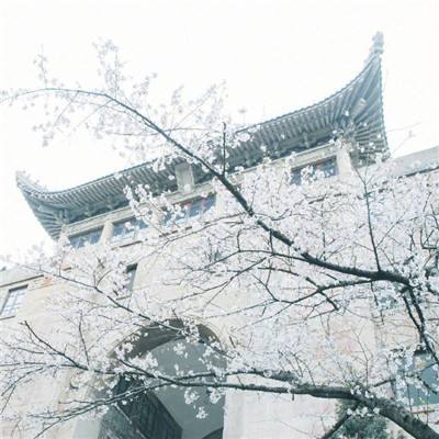 【组图】北京三联韬奋书店总店12月30日重张开业